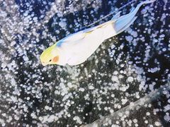 -怀来官厅水库