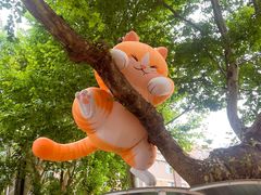 -西安电影制片厂