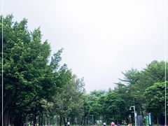 -顺峰山公园