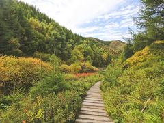 -苏木山森林公园