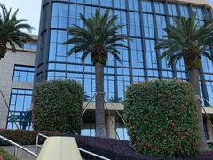 -舟山希尔顿酒店