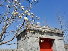 -西海子公园