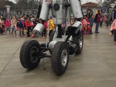 -上海长兴岛郊野公园