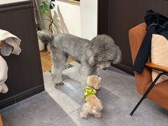 -沏点Trattoria意大利餐厅(新街口店)
