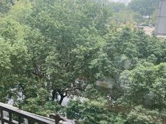 -浔庐餐厅•江西老字号•九江菜(南湖国际店)