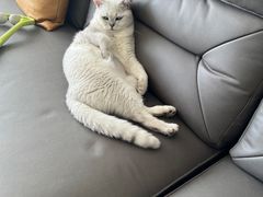 -宠颐生中康贝怡动物医院