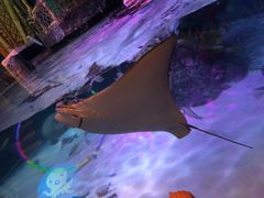 -沈阳海洋探索中心