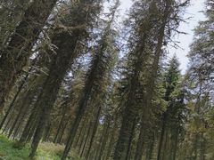 -硗碛藏寨·神木垒景区