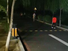 -丁香湖公园