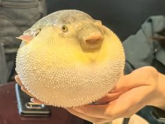 -永安鱼庄·镇江菜(东吴路店)