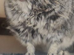 -雨林宠物医院 非犬猫异宠专科