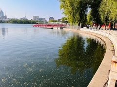 -莲花池公园