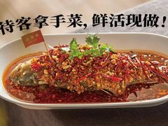 -杨氏青龙虾·羊蝎子(珠江路店)