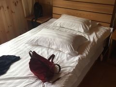 -六里坪国家森林公园