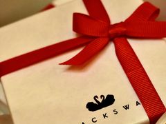 -BLACKSWAN黑天鹅(环球店)