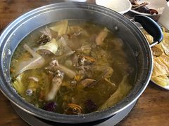 -百利鸽王(紫薇路店)