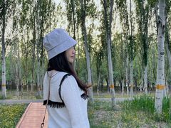 -东郊湿地公园