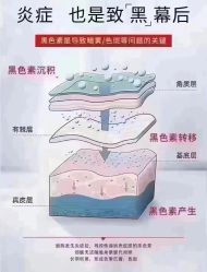 -YESIDO椰岛美容