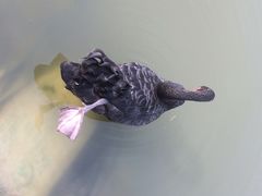 iphone_upload_pic-溱湖国家湿地公园