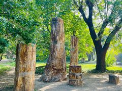 -国家植物园南园