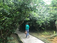 -三圣花乡旅游区