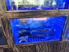 -院里寻菜·精致庭院菜(观沙岭店)