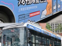 -帕帕拉兹宠物(亚洲旗舰店)