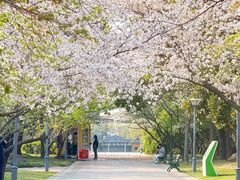 -蠡湖大桥公园