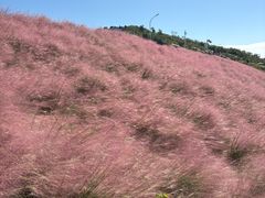 -沂蒙云瀑洞天景区