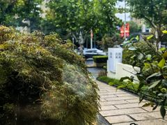 -荷风细雨·中国茶宴(碧云店)