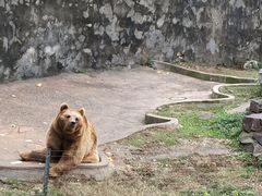-无锡动物园·太湖欢乐园