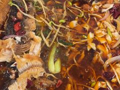 -新凯旋烧烤·燕姐千岛湖土菜