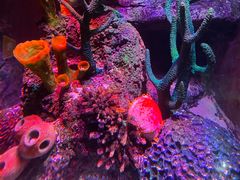 -沈阳海洋探索中心