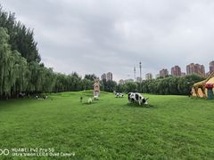 -长白岛森林公园