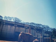 -昆明动物园