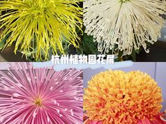 -杭州植物园