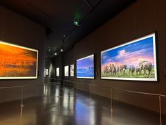 -罗红摄影艺术馆