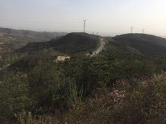 -五龙城郊森林公园