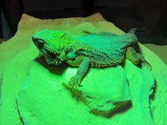 -博纳UA影城(KK Mall IMAX店)