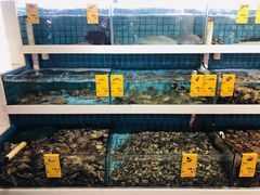 水产区-双海酒店·海鲜家常菜(南戴河店)