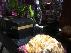 -范设计花园餐酒咖·中西餐·咖啡厅·酒馆