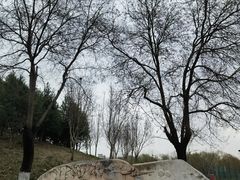 -河北省园博园