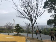 -飞凤山奥体公园