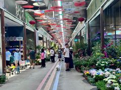 -三圣花乡旅游区