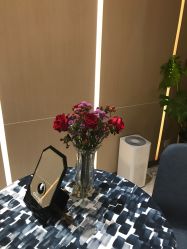 -苑苑vbeauty科技美容SPA