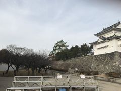 -名古屋城