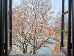 -蒋氏故居