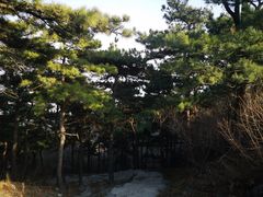 -北京鹫峰国家森林公园