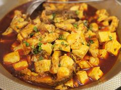 -一撮毛美食城(全力一路店)