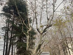 -川流不息(北蔡休闲广场店)